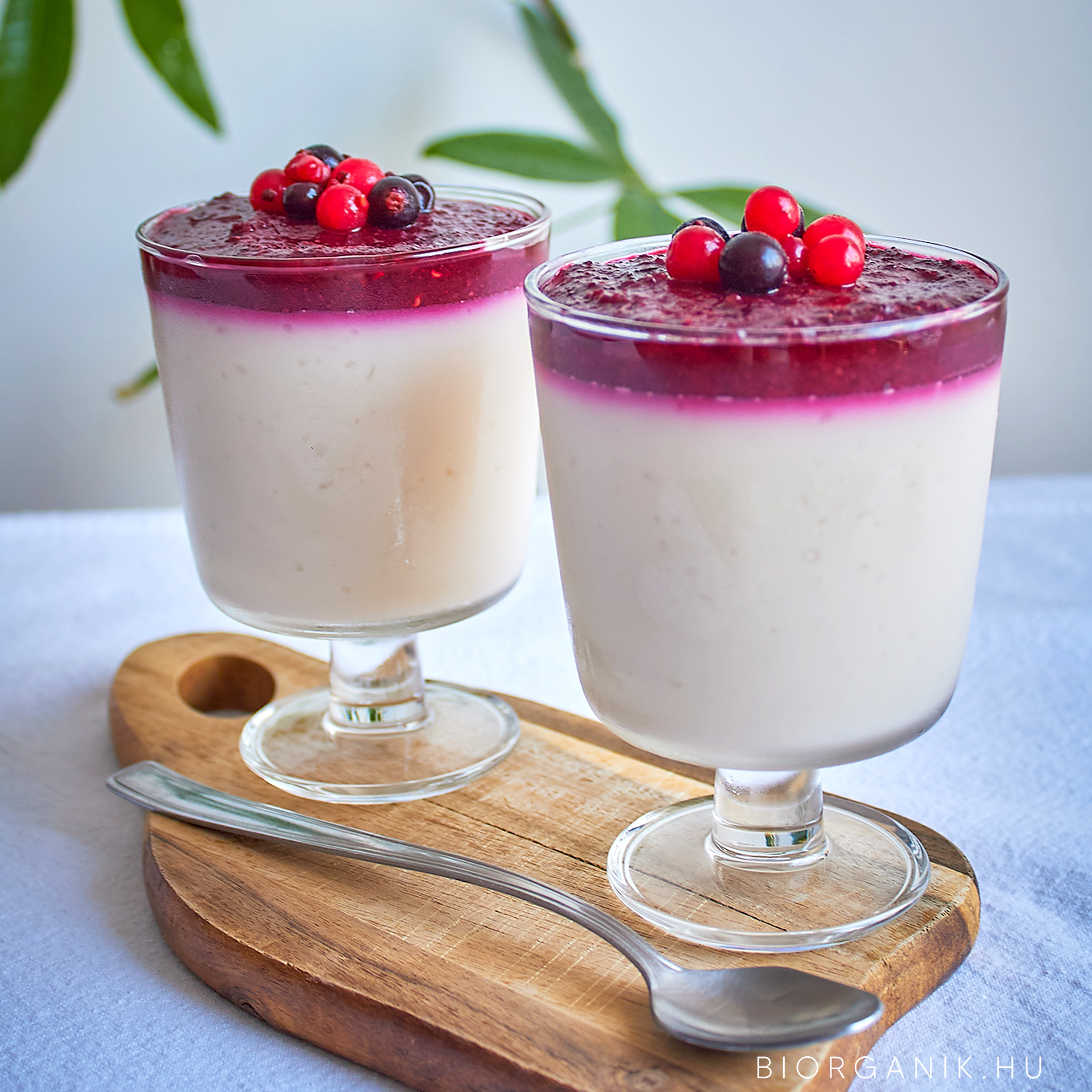 Mascarpone panna cotta