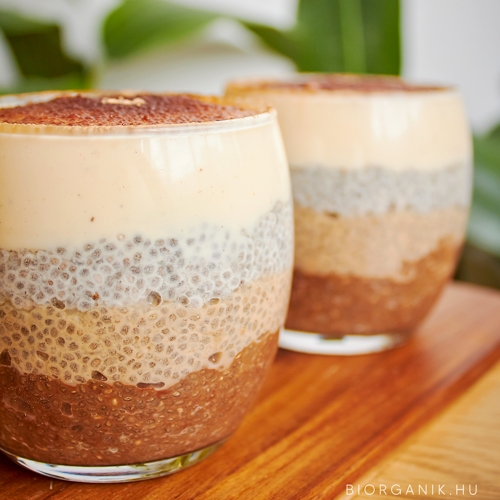 Tiramisu chia puding